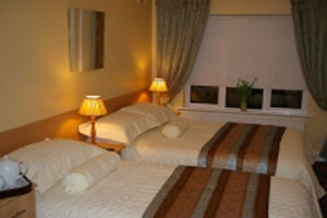 Cashel Lodge Bed and Breakfast