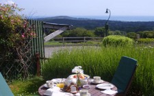 the-cottage-outdoors